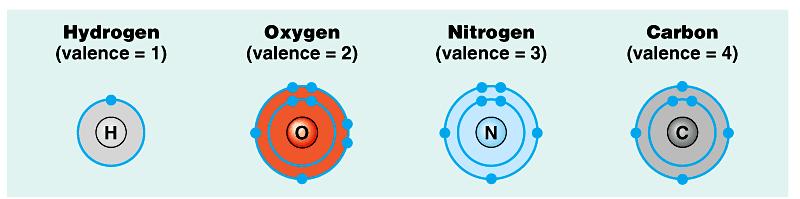 The Formation of Bonds with Carbon Carbon is tetravalent, has 4 electrons in its valence shell This allows it to form four covalent bonds with a variety of atoms This ability