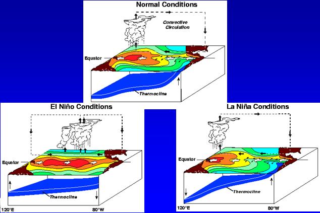 frequent thunderstorm activity) PACIFIC OCEAN GULF OF MEXICO Conceptual diagram of key