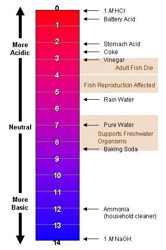 ph Scale Acids Compounds that release hydrogen ions (H + ) in water The more hydrogen ions, the more acidic Below 7 on the ph scale Ex) HCl H + + Cl - H 2 SO 4 Neutral or Salt Mixing of a strong acid