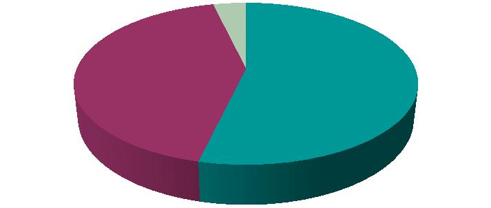 Participant Feedback Surveys Recruitment Period Survey #1 Survey #2 Survey #3 September December 2013 (n=31) January 2014 45% June 2014 52% November 2014 45% January mid- April 2014 (n=19) June 2014