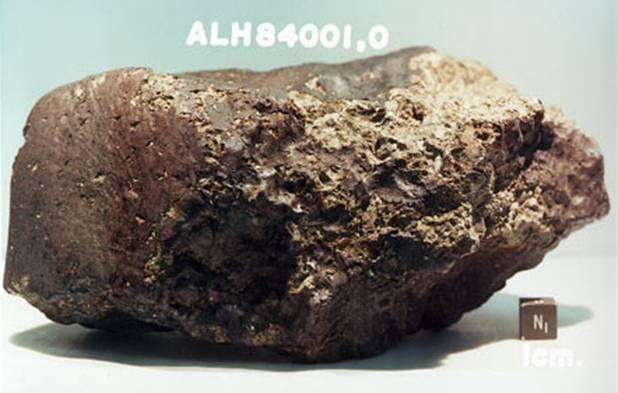 A SNC meteorite found in 1984 in Alan Hills Antarctica The Story of ALH84001 Softball-sized meteorite weighing about 4