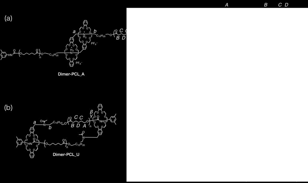 Dimer-PCL_A and (b)