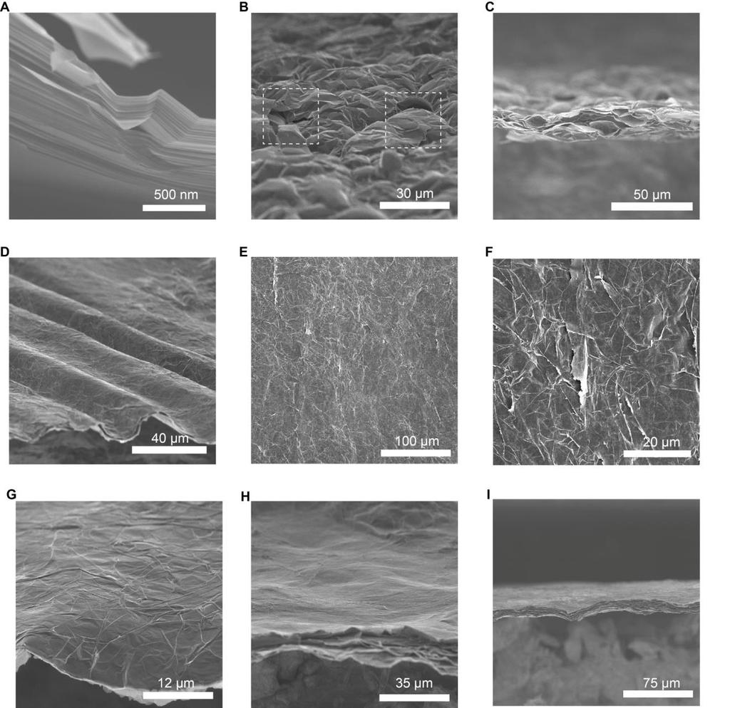 fig. S4. SEM images of GF-HC, GF-p, and GF-Hp. (A-C) SEM images of GF-HC. (A) Magnified SEM image of GF-HC corresponding to Fig. 2F, revealing highly aligned graphene sheets.