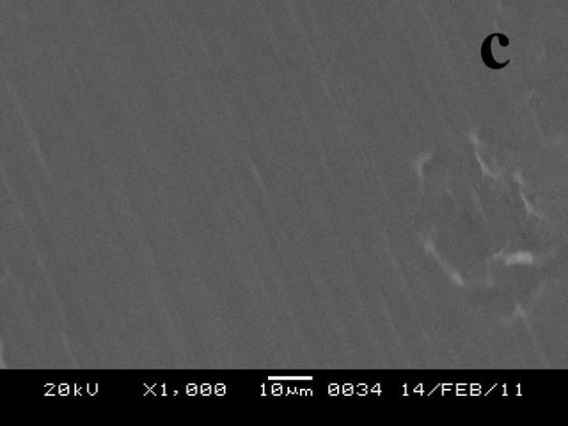 2.3.2.2 Scanning Electronic Microscope (SEM) of Hydrogel(II) The SEM micrograph of AMPS, AM, gelatin and hydrogel(ii) are depicted in fig.2.6(a-d).