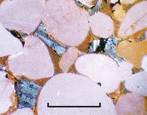4 2. Figure 2a shows photomicrographs of two sedimentary rocks (rocks A and B).