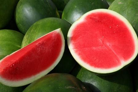 Seedless Watermelons An infertile triploid created from 4x and 2x parents Tetraploid Inbred AAAA x