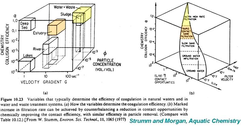 Relationship of flow field, particle size/concentration and ionic strength: The water flow field controls the size and concentration of particles in suspension, and the number of collisions among
