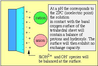 When ph < ZPC, particle surface carries a + charge.