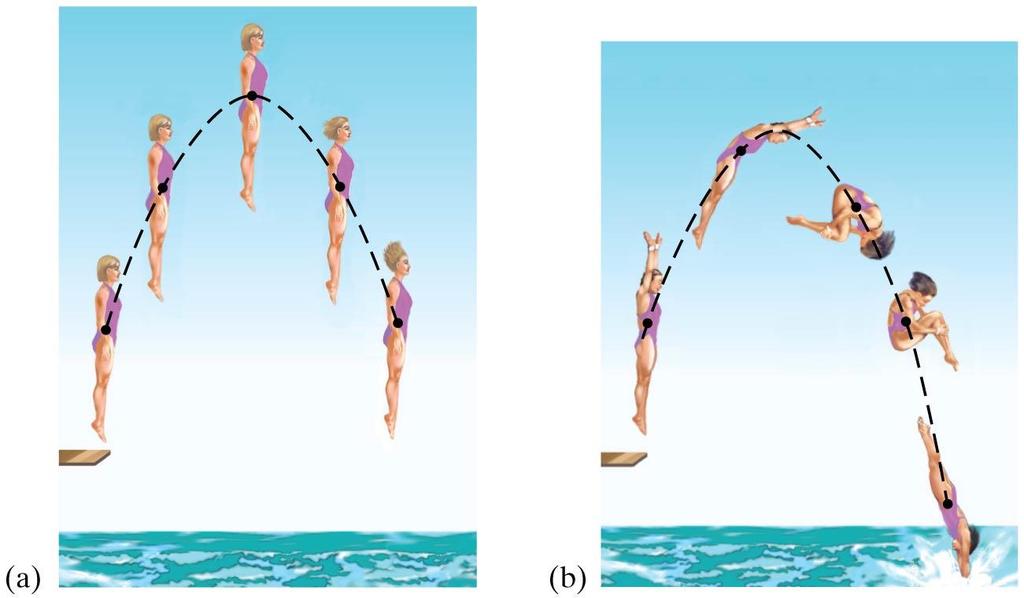 7-8 Center of Mass In (a), the diver s motion is pure translation; in (b) it is translation plus rotation.