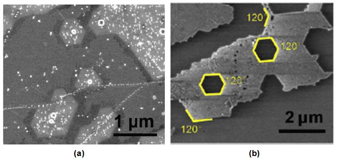 shown in the left SEM image in Figure 1 (a).