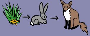 A simple food chain could start with grass, which is eaten by rabbits. Then the rabbits are eaten by foxes.