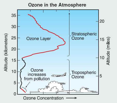 Other Layers Ozonosphere: 11-60 km Peak O 3 = 12 ppm @ 30 km Mean