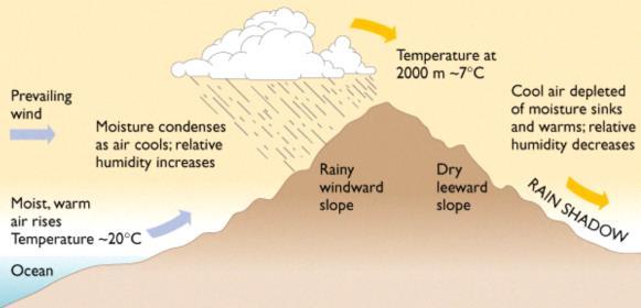 Coalescence occurs when cloud droplets collide and join together to form a larger droplet. Once the droplets get too heavy, they fall down to Earth as precipitation.
