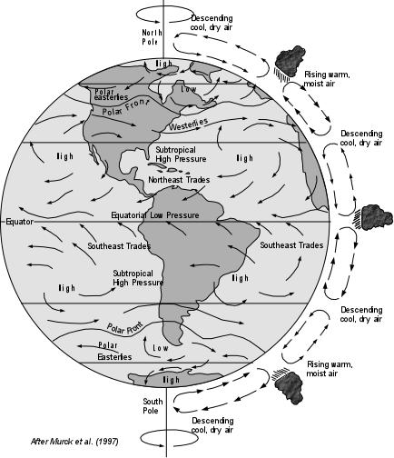 Page 3 of 17 Because of the Coriolis Effect, the pattern of atmospheric circulation is broken into belts as shown here.