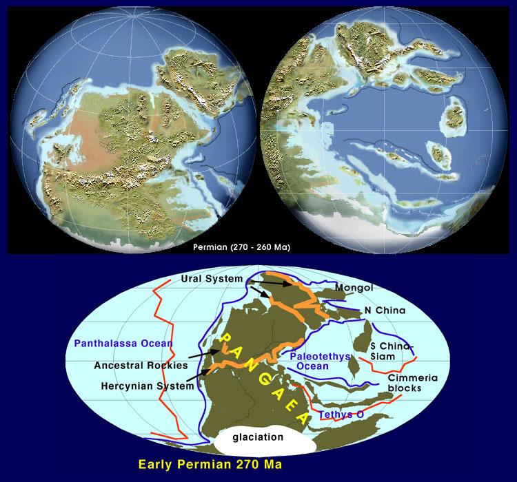 Plate Tectonics: Dynamic System Size and shape of continents and oceans