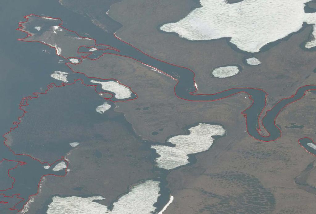 IfSAR Derived Shoreline Selawik Lake, AK Scale 1:10,000 Alaska