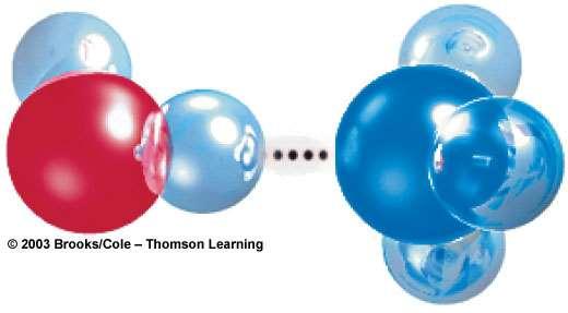 Hydrogen Bonding Atom in one polar covalent molecule is attracted to oppositely