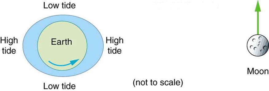The Moon causes ocean tides by attracting the water on the near side more than Earth, and by attracting Earth more than the water on the far side.