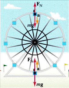 8) Going in Circles I You re on a Ferris wheel moving in a vertical circle. When the Ferris wheel is at rest, the normal force N exerted by your seat is equal to your weight mg.