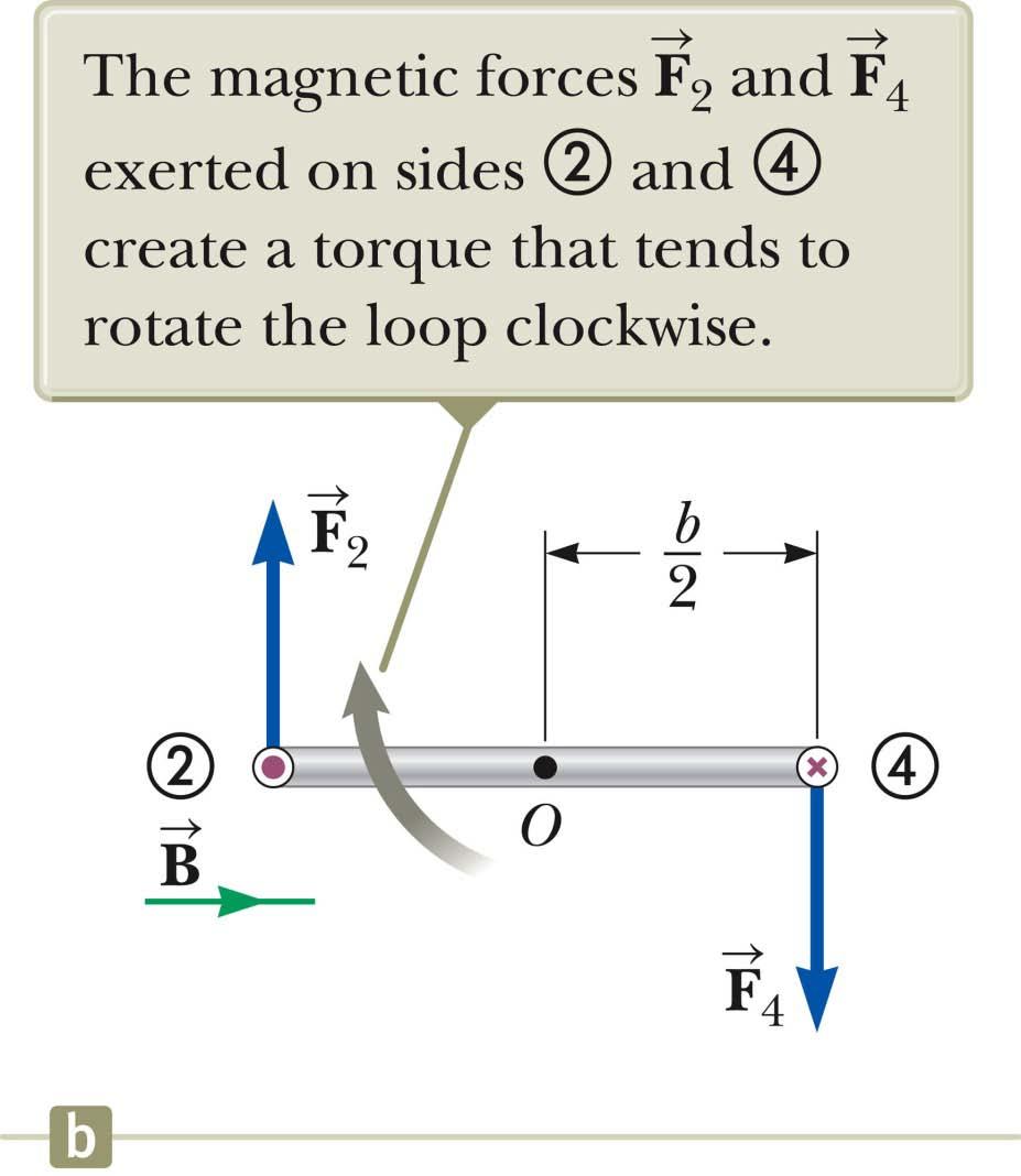 Torque on a Current Loop, 3 The forces are equal and in opposite directions, but not along the