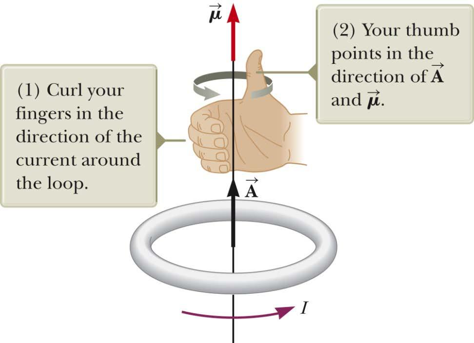 Direction The right-hand rule can be used to determine the direction of.