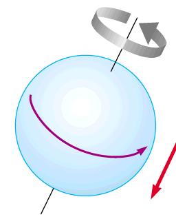 Magnetic dipole moments of subatomic particles Bohr magneton Nuclear magneton e 24 µ B µ B = = 9.27 10 J/T µ N 2m 1836 e µ L electron proton neutron µ 913 e = µ B µ p = 2.973µ N µ n = 1.