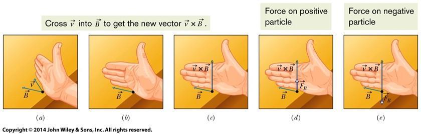 Magnetic Force on a Particle F qv B B This equation tells us the direction of F. We know the cross product of v and B is a vector that is perpendicular to these two vectors. The right-hand rule (Figs.