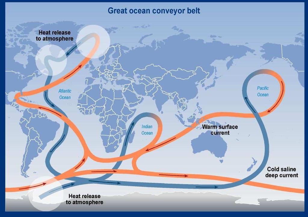 Large scale ocean circulation The ocean circulation is driven by density contrasts in the ocean.