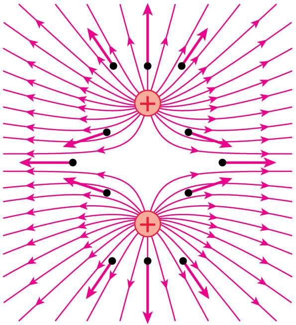 The Electric Field of Two Equal Positive Charges This figure represents the