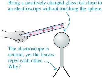 Charge Polarization The figure shows how a charged rod held close to an electroscope causes the leaves to repel each