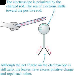 Charge polarization is a slight separation of the positive and negative charges in a neutral object.