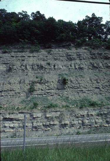 Turbidite layers exposed