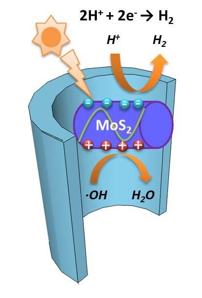 Fig. S7. Schematic diagram of LSPR produced charge separation and reactive equation during H 2 evolution on MoS 2 @TiO 2. Fig. S8.