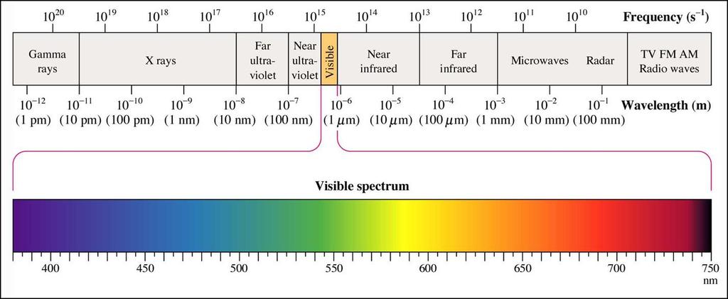 Electromagnetic Spectrum Speed of light The product of frequency of a wave and wavelength = the speed of light