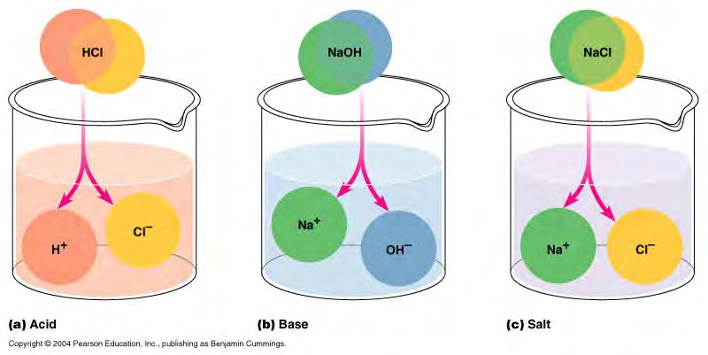 3. Chemical reactivity -polarity allows it to serve as reactant in many reactions: Hydrolysis: decomposition using water AB + H 2 O AOH + BH Condensation/ Dehydration synthesis: synthesis using water