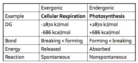 Cellular Energy Cellular respiration: C 6 H 12 O 6 + 6O 2 à 6CO 2 + 6H 2 O + E Photosynthesis: E + 6CO 2 + 6H