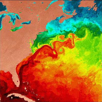 Sea Surface Temperature (SST)