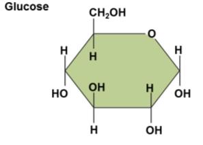 Monosaccharides Monosaccharides are