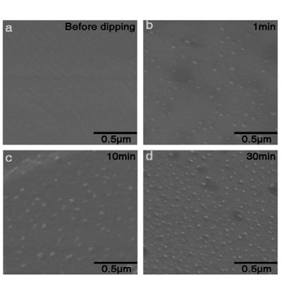 Supplementary Figure 1 Scanning Electron Microscope (SEM) images of MAPbI3 prepared from organic solvent before (a) and after (b-d)