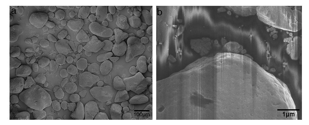 Supplementary Figure 2 SEM images of the as-prepared MAPbI3 powder formed in saturated HI solution.