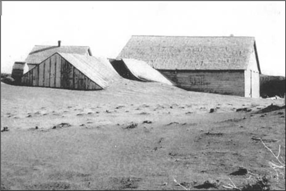 The photograph below shows farm buildings partially buried in silt.