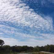 In winter, stratus clouds are more common. Altocumulus clouds are the most common medium-height clouds.