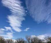 cirrus clouds. They may create a halo effect around the sun or moon.
