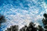 Cirrocumulus clouds are high clouds with lumps or wrinkles.