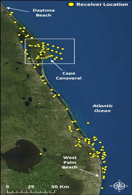 ACOUSTIC TELEMETRY TO MONITOR FISH RESPONSE TO DREDGING IN A