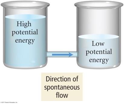 STANDARD ELECTRODE POTENTIALS The standard cell potential (E cell ) for an electrochemical cell depends on the specific half-reactions occurring in the half-cells and is a measure of the potential