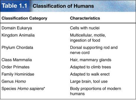 Order Family Genus Species Most Specific 13 Dumb