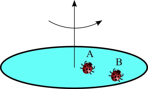 Two ladybugs rest without slipping on a rotating platter that is increasing its angular velocity. Ladybug A is closer to the rotation axis than bug B.