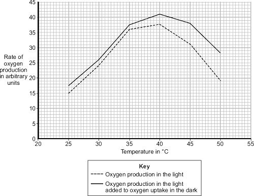 Use the information from the graph to answer each of the following questions. (i) Describe the effect of temperature on oxygen production in the light.