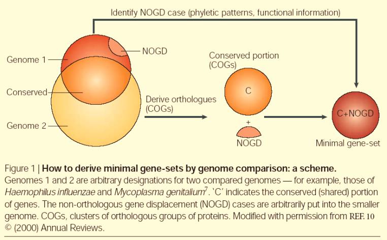 The minimal gene set A synthetic minimal genome The only way to better understand the minimal component of cellular life and understand the evolution of life Koonin, E.V.